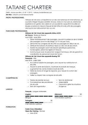 Cv Example Gris