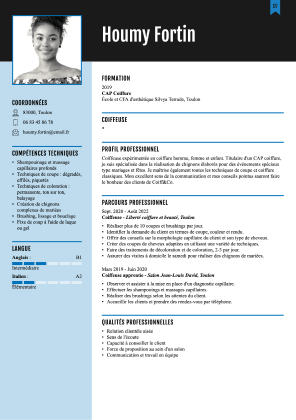 Cv Example Bleu