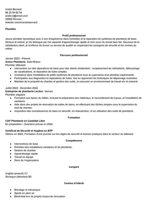 exemple de CV