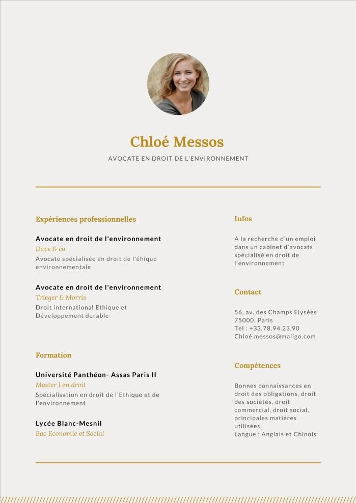 canva cv modeles