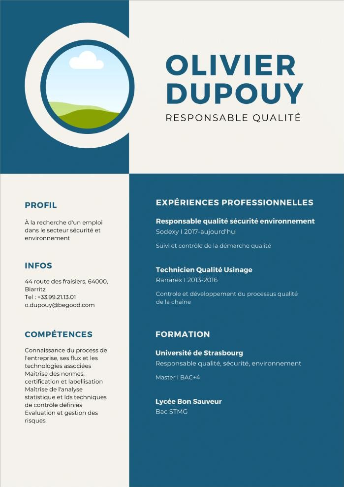 canva cv modeles