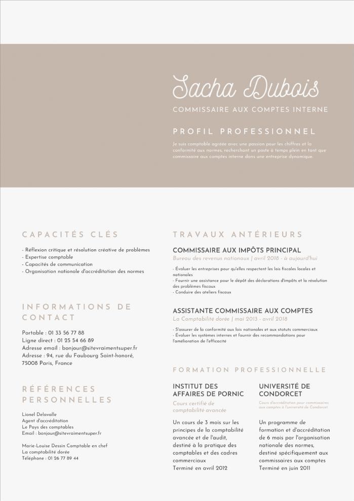 Mod les De CV Canva Notre S lection De 15 Templates