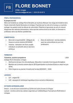 Exemple de CV stage 3e