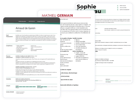 Exemples de CV