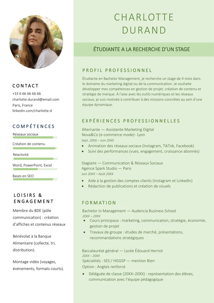 Modèle de CV gratuit pour étudiant