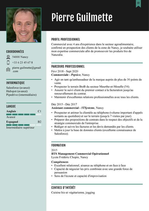 exemple de CV