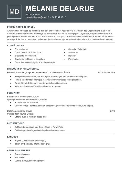 Exemple De Cv Pour Lyc en Mod le De CV Lyc en Pour Un Stage Ou Job D Exemple De Cv Pour Lyc en Mod le De CV Lyc en Pour Un Stage Ou Job D