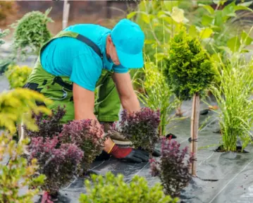 CV de paysagiste (ouvrier, jardinier) : exemple en 2026