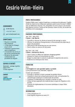 exemple de cv intérim