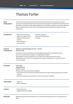 Exemple de CV master