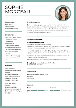 Exemple de CV type