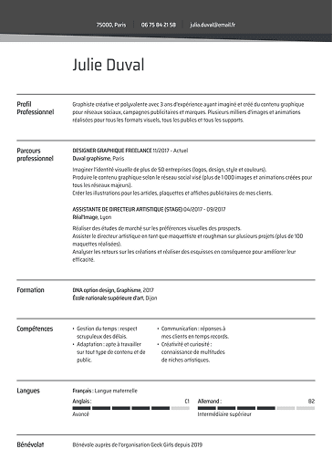 Modèle de CV professionnel sobre