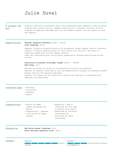 Modèle de CV professionnel épuré
