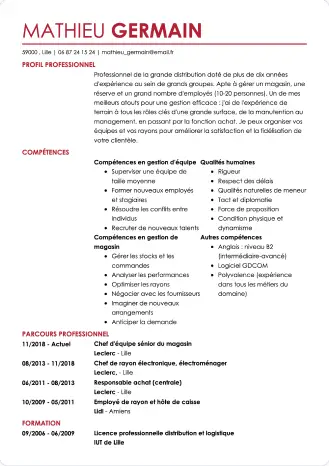 Modèle de CV moderne