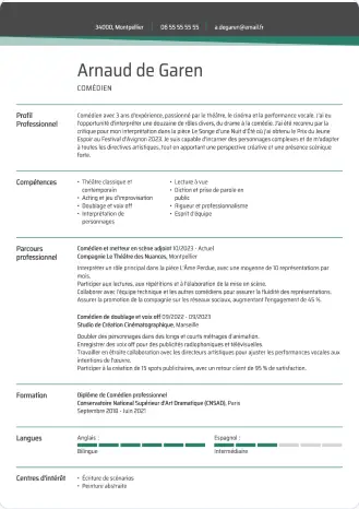 Modèle de CV professionnel