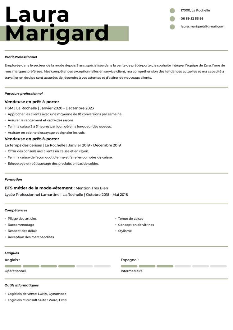 Template de CV classique spécialiste