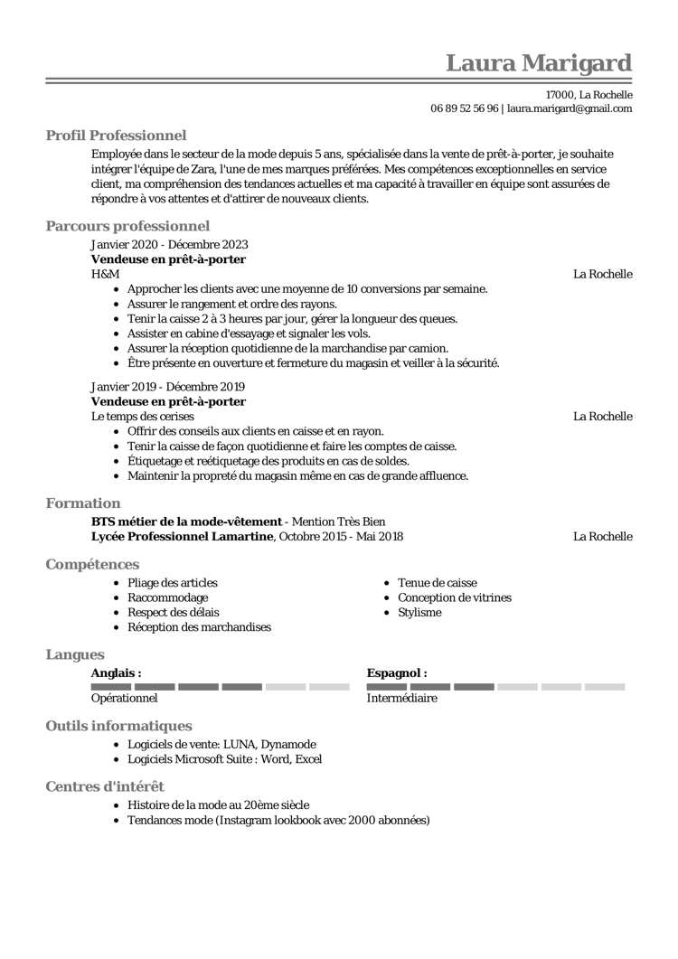 Template de CV classique imposant