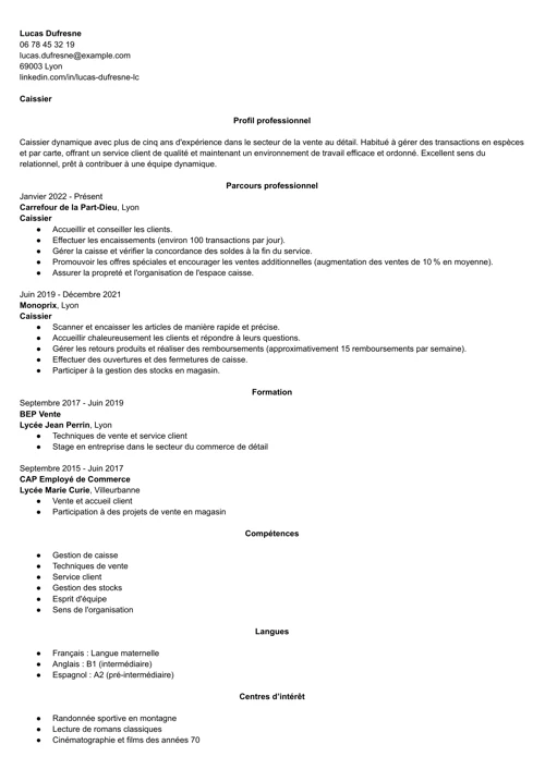 exemple de CV professionnel